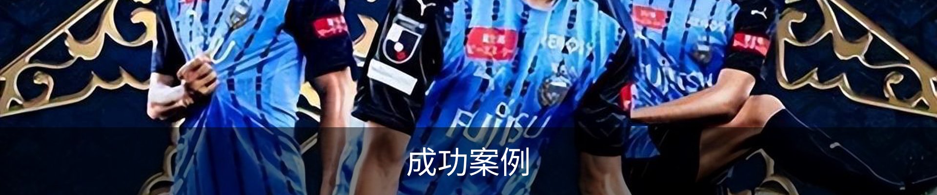 成功案例